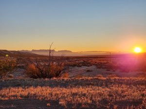 Southern New Mexico desert morning