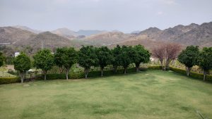 Garden with mountain in Udaipur Palace
