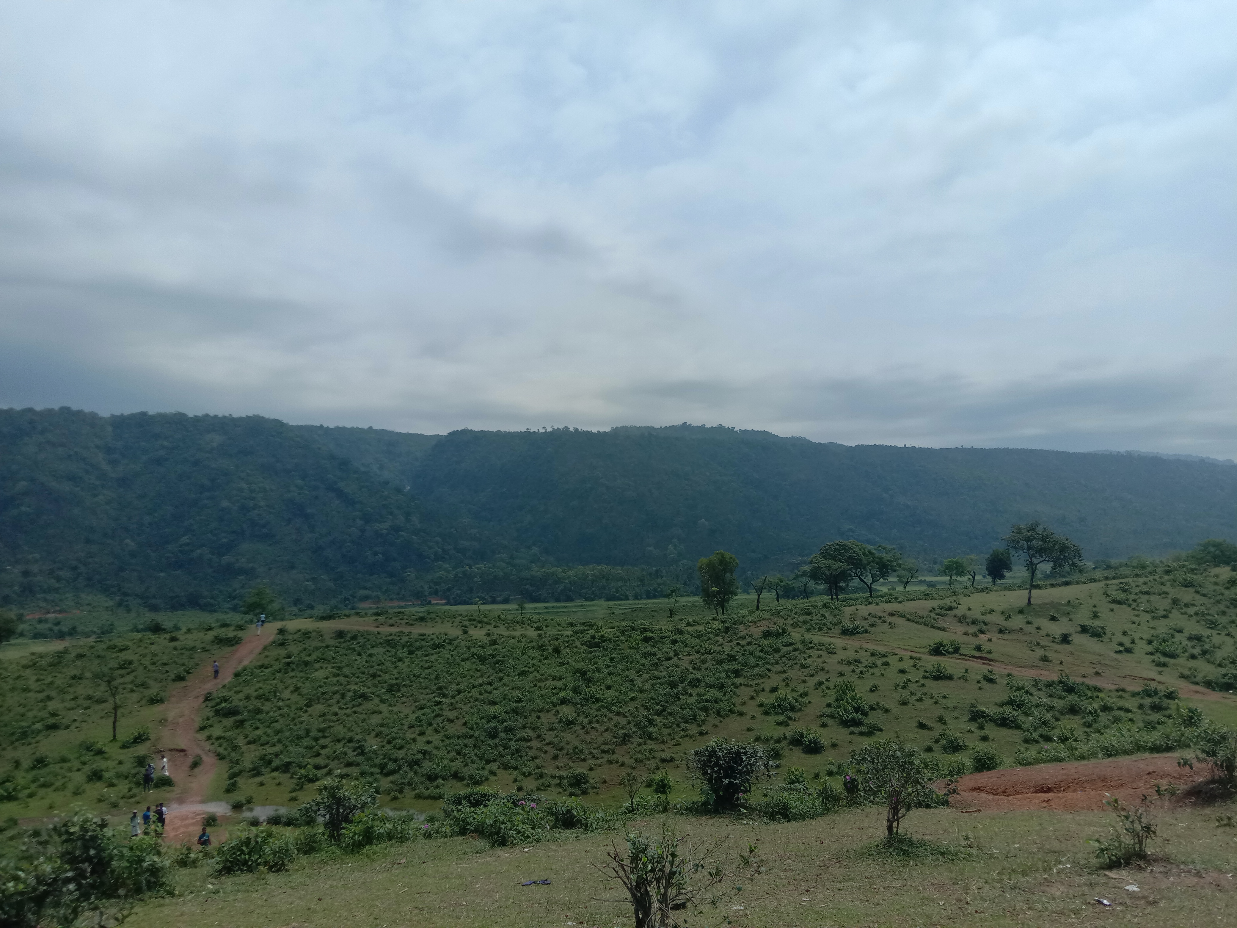 Natural Green View