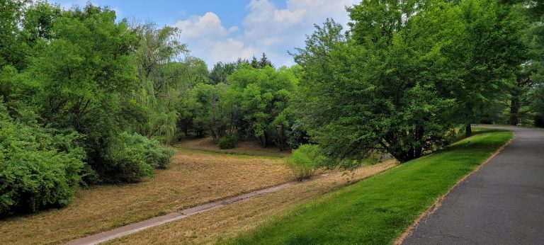 Path along a drainage area with trees lining the sides. Picturesque and summer time.