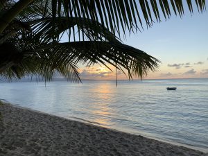 Sunset on a beach in Guadeloupe, Caribbean Sea, with a small boat in the background and a palm tree in the front.