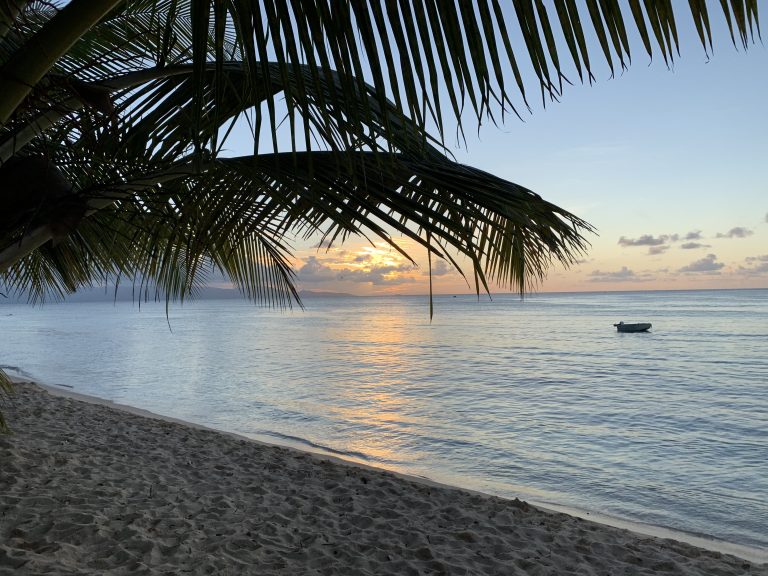 Sunset on a beach in Guadeloupe, Caribbean Sea, with a small boat in the background and a palm tree in the front.