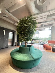 Plant in Office Building