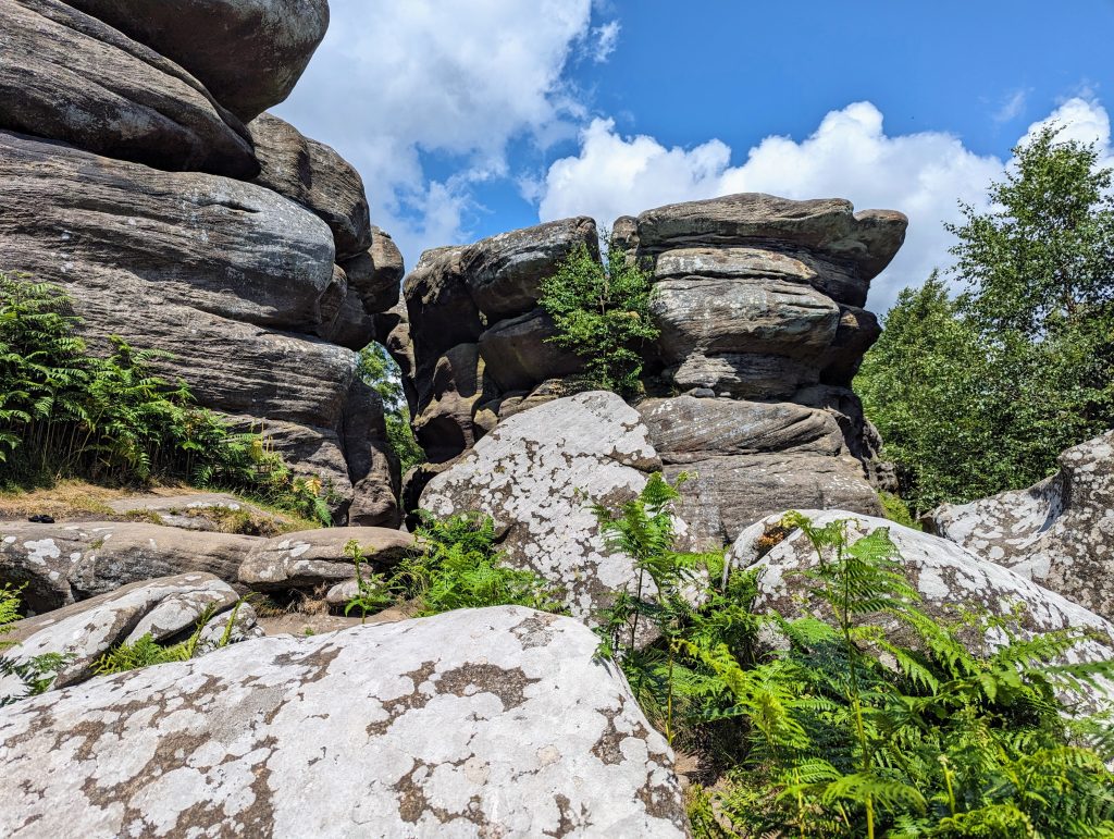 Rocks at Brimham Rocks, a Site of Special Scientific Interest and Geological Conservation Review, in North Yorkshire, England.