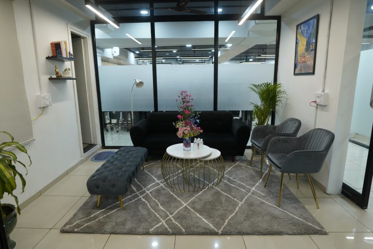 A contemporary lounge room adorned with a sofa, chair, and an areca plant.