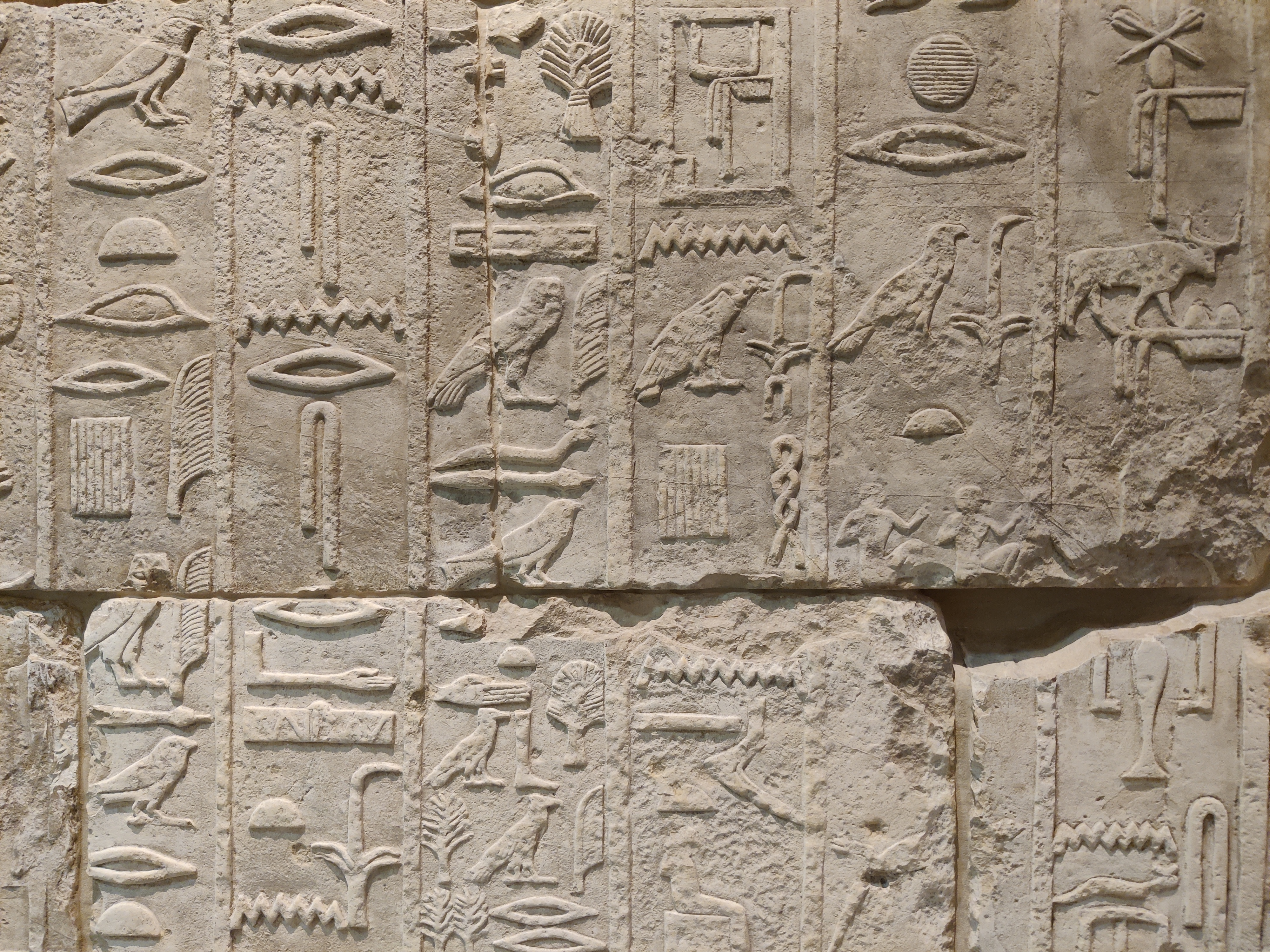 Egyptian hieroglyphs at the Neues Museum in Berlin.