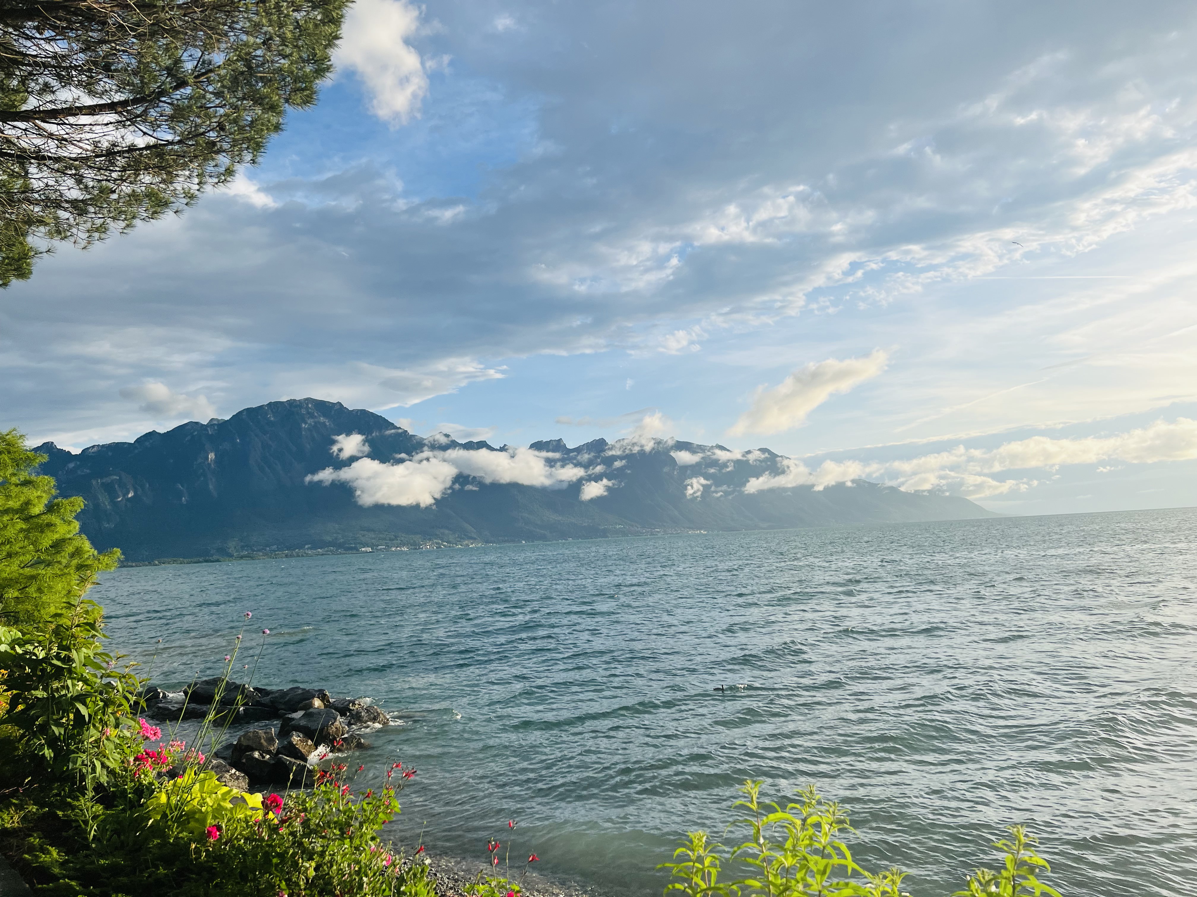 Blue ocean with Blue sky and some green trees from one side