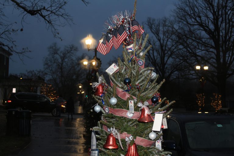 US flag and a Christmas tree