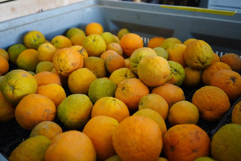 Crate of oranges