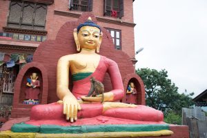 View larger photo: Monkey on the Lap of the Statue of Buddha