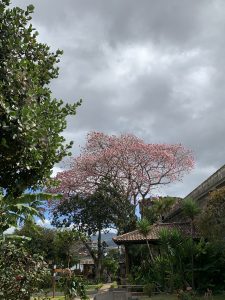 Museo Nacional, Costa Rica