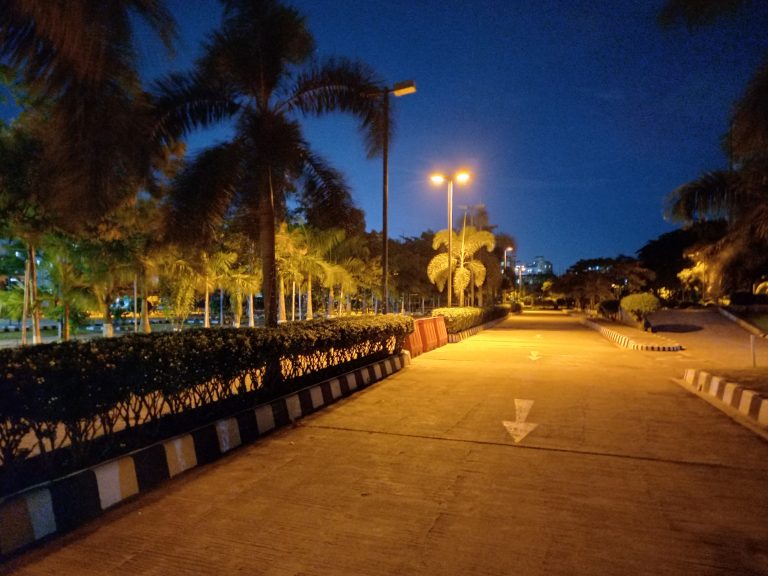 A late night street light at Dhaka city. Looking down a street with arrows painted on it pointing toward us. the sky is dark, the street lights are on.? There are palm trees all around.