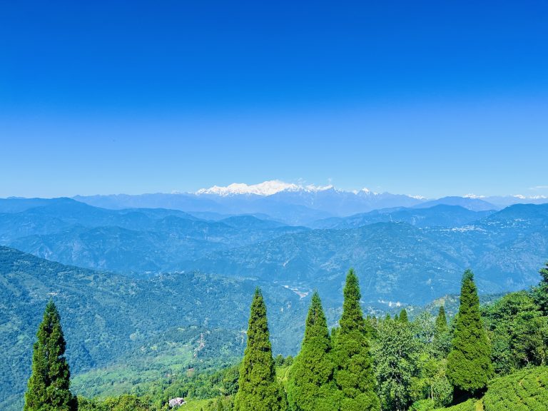 Kanchenjunga, Rangli rangliot tea garden, Darjeeling