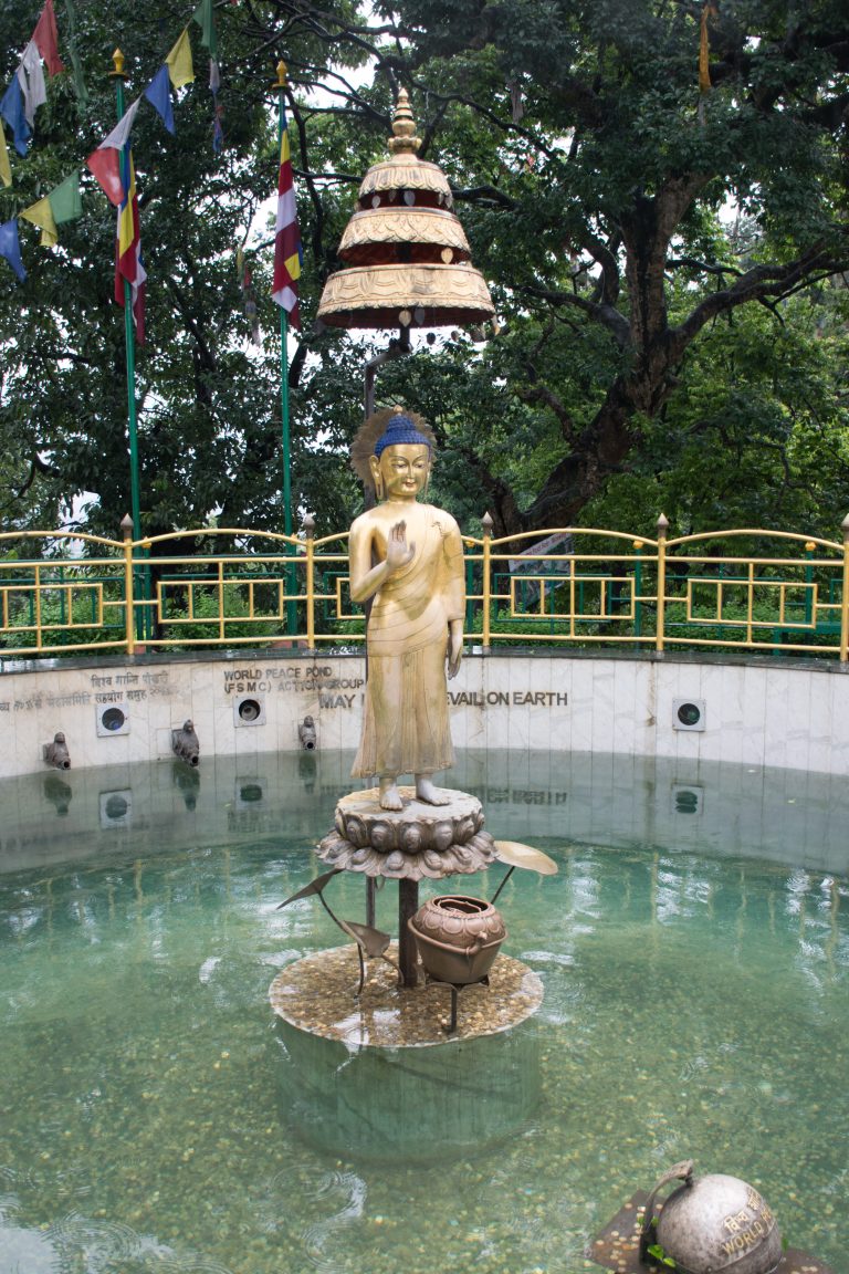 Statue of Buddha on a Small Pond in Kathmandu