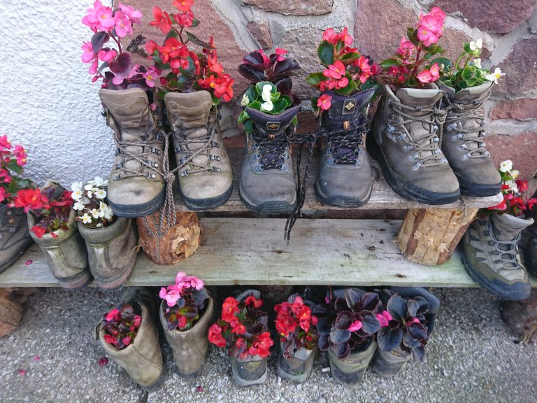 Flowers in hiking boots