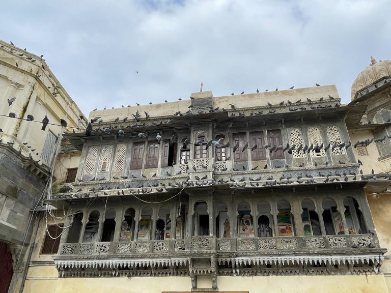 Heritage building with birds.