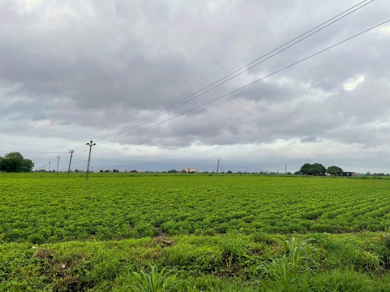 Green field with rainy cloud