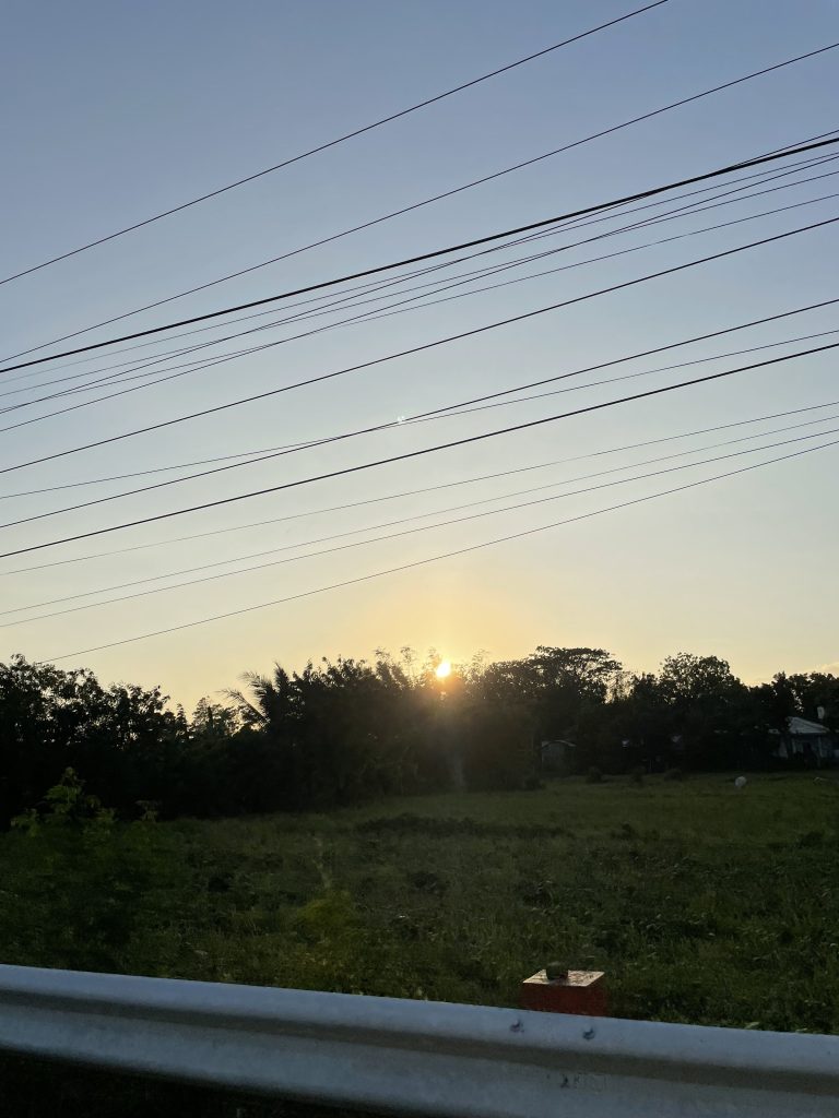 View of sunrise with greenery and power lines in the foreground.