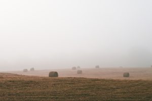 Haystacks scattered across a foggy field with slight hills breaking up the scene.