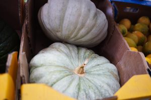 Crate of pumpkins