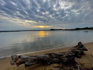 Rain clouds, river and a dead tree. A evening view of National Harbor, Maryland. 