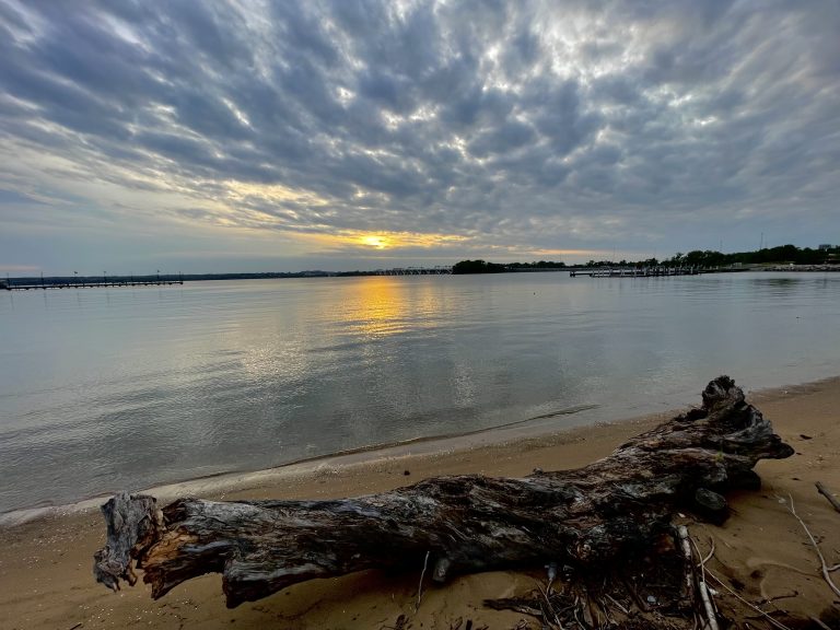 Rain clouds, river and a dead tree. A evening view of National Harbor, Maryland.