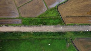 drone view of bridge and paddy fields
