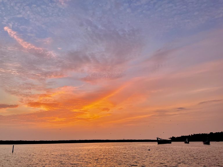 Sunset over boats with high flying birds from Puthiyappa Fishing Harbour. Kozhikode, Kerala, Kozhikode.