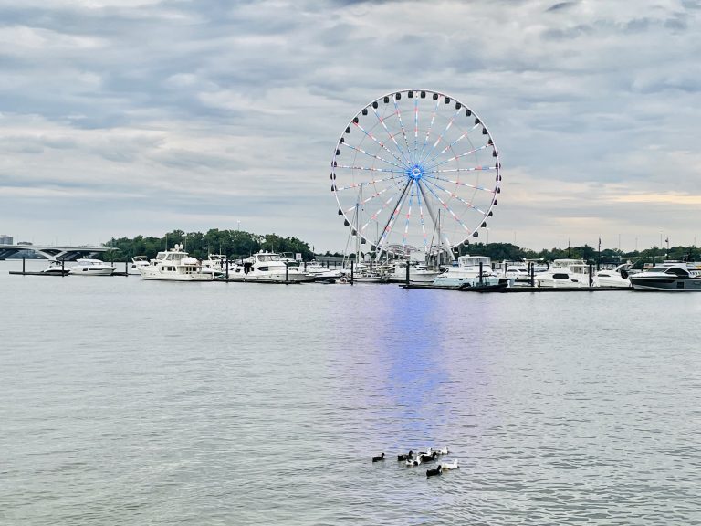 Duckies & the ferris wheel. A morning view from National Harbor, Maryland, United States.