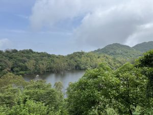 High up view of a forest with hills in the background, and river peeking through the trees in the foreground.
