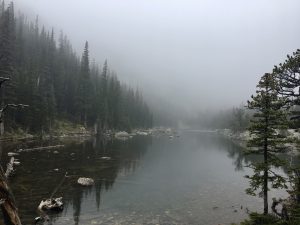 Pond in mountains with trees and fog
