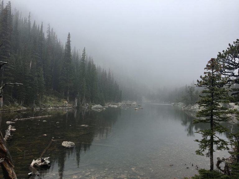 Pond in mountains with trees and fog