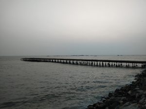 Pier spot, Thalassery 
