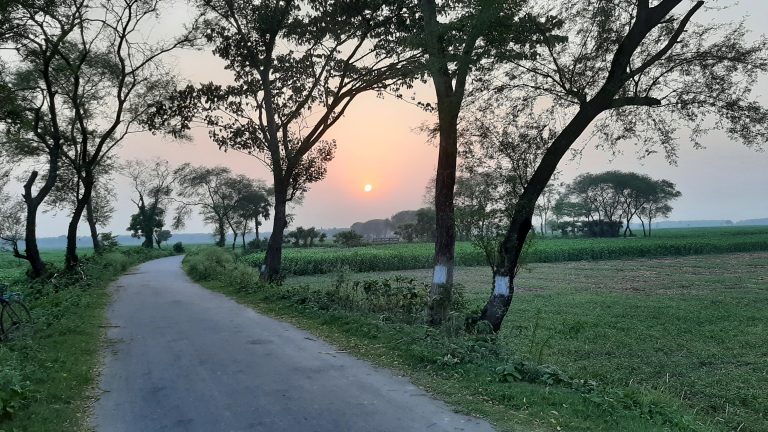 Village, Rural area of Bangladesh. Gangni, Meherpur, Bangladesh