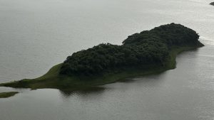 Small island, seen from the air. Long and narrow, king of sinuous, very lush with growth.
