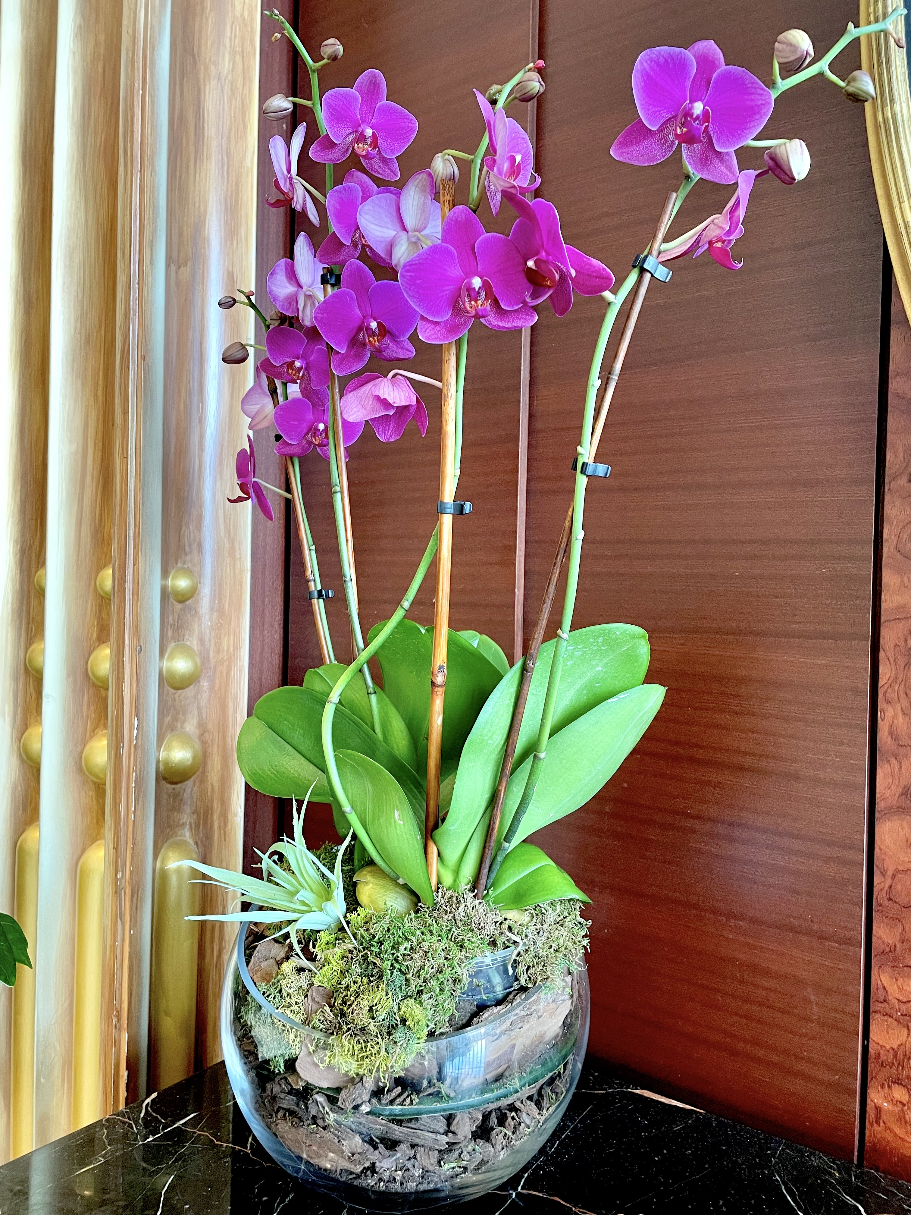 Artificial orchid flowers. From Gaylord convention centre, National Harbor, Maryland