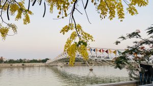 A walking bridge made of geometric patterns over a river. Tree branch in the immediate foreground partly obscuring the view.