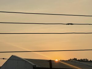 Sun slowly setting behind the roof of a one-storey building across the street with four lines of electric cables cutting across the line of vision.
