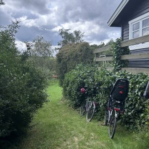 Two black bicycles (one with a child seat on the back) parked in the lush green garden of a black woodclad summerhouse in Denmark. 
