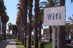 棕榈树林荫大道旁的旧WiFi标志
