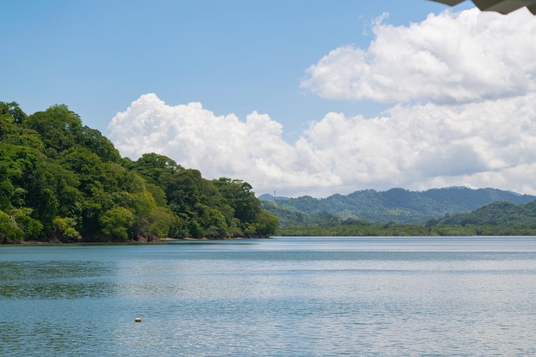 Costa Rica river near to Puntarenas Sierpe. A place for ocean Sportfishing excursion.