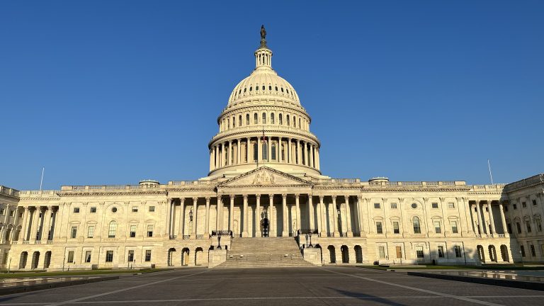 A brightly-lit photograph of the United States Capitol at Washington, DC, USA.