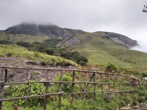 A greenery sand rock hill covered by clouds in Rajamala, Munnar. 

