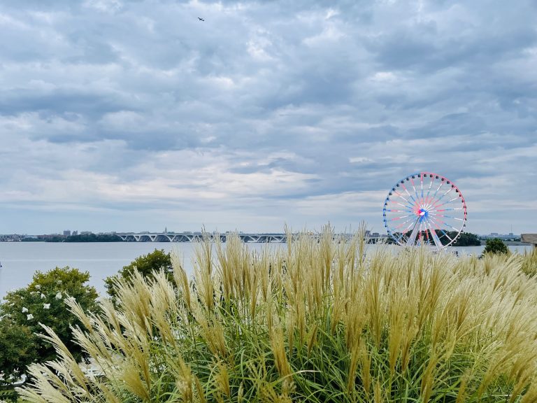 A morning view of National Harbor bridge & giant wheel (Ferris Wheel). From Maryland, United States.