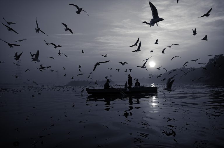 Black and white scenery