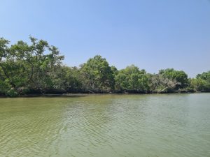 Riverside in Sundarban, Bangladesh
