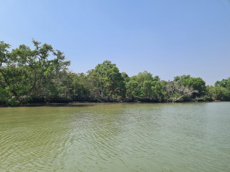 Riverside in Sundarban, Bangladesh