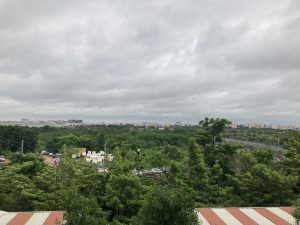 View of a city from a high vantage point.  There are many trees in the city, so it looks like forest with city in it. Cloudy sky.