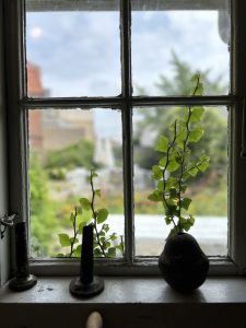 A look through an old window. A few items are placed on the windowsill and outside ivy is covering some of the window panes.
