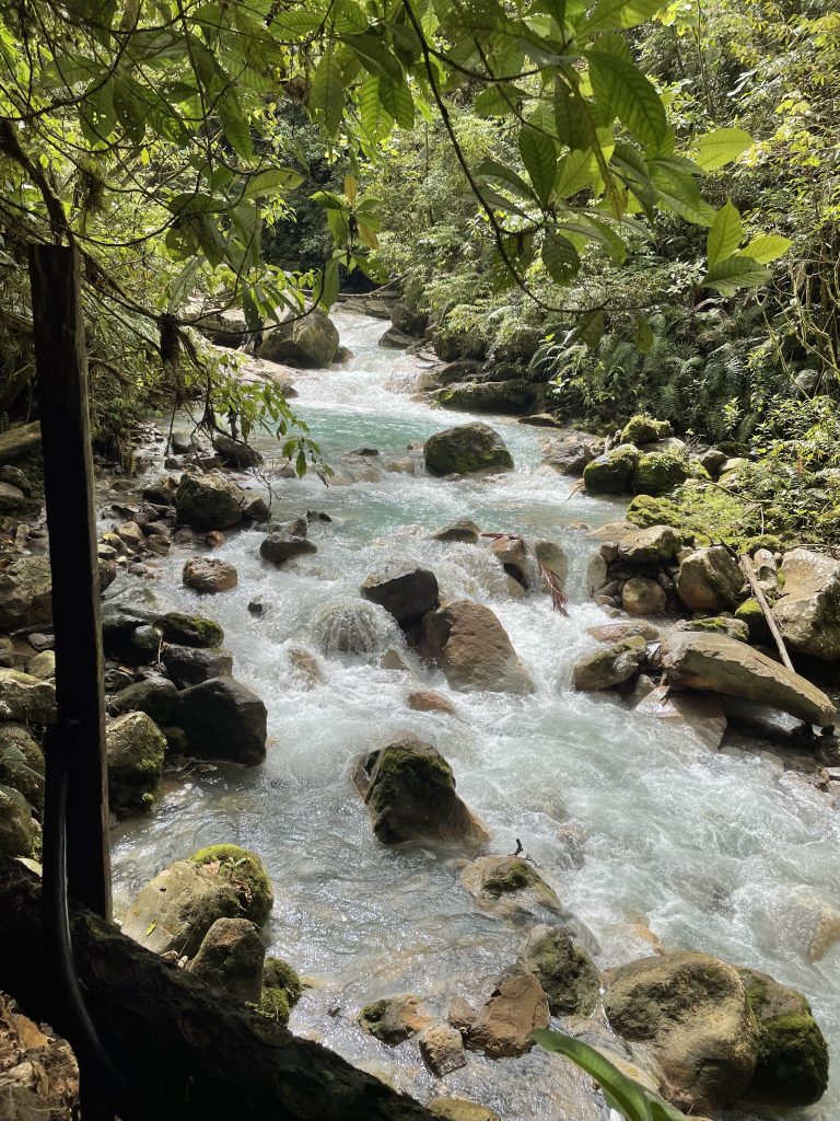 A river in Bajos del Toro, Costa Rica